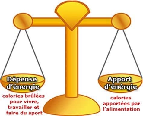 La balance énergétique